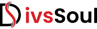 DivsSoul digital agency logo